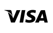 payment-icon-visa